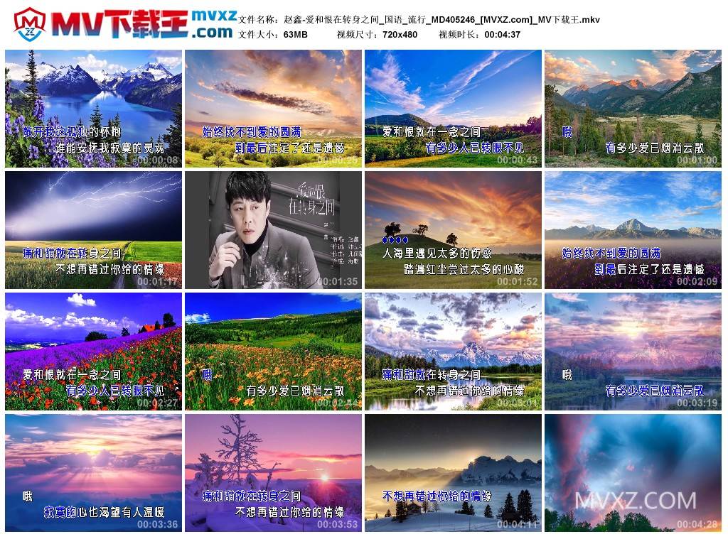 赵鑫-爱和恨在转身之间_国语_流行_MD405246